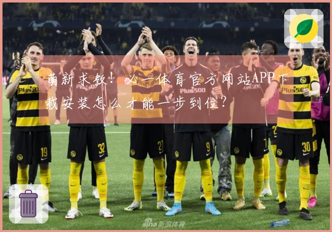 萌新求教！必一体育官方网站APP下载安装怎么才能一步到位？